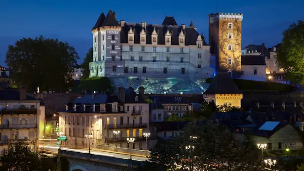 Château de Pau : photo 4