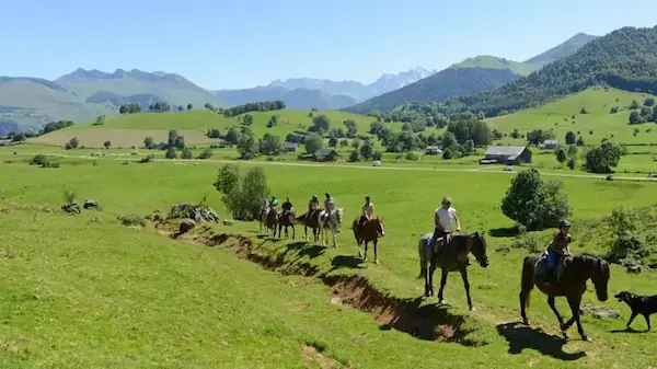 Cheval Détente : photo 2