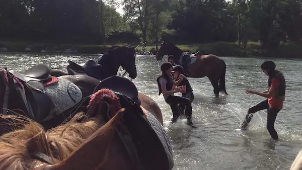 Cheval Détente : photo 3