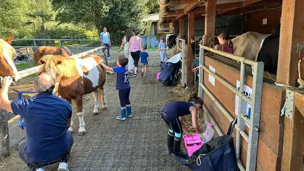 Cheval Détente : photo 4