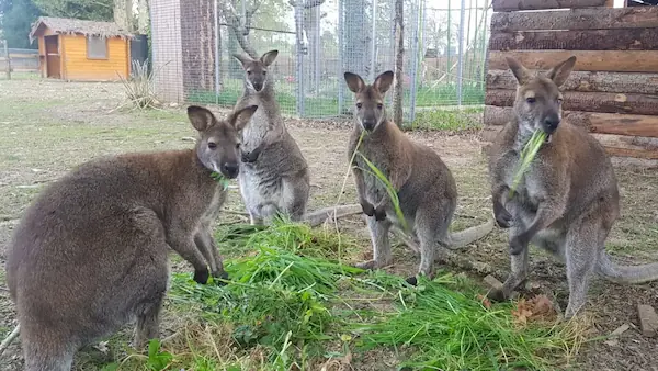 Exotic Park : photo 2