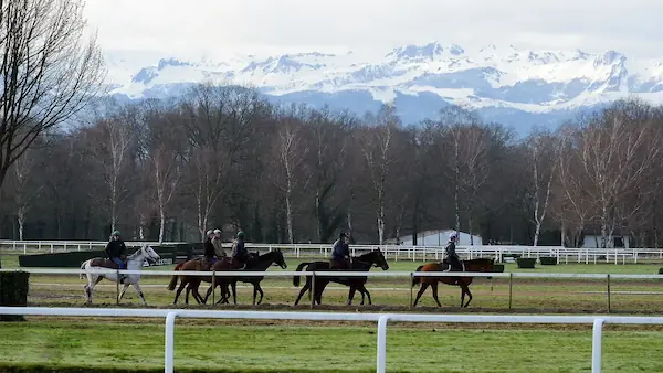 Hippodrome : photo 3