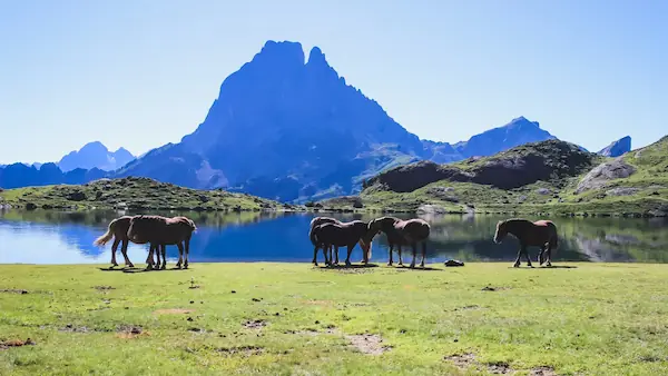 Randonnées : photo 4