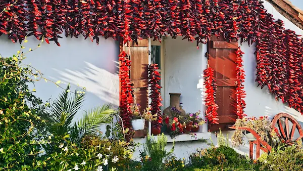 Pays Basque : photo 4