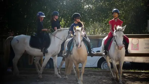 Poney Club : photo 2