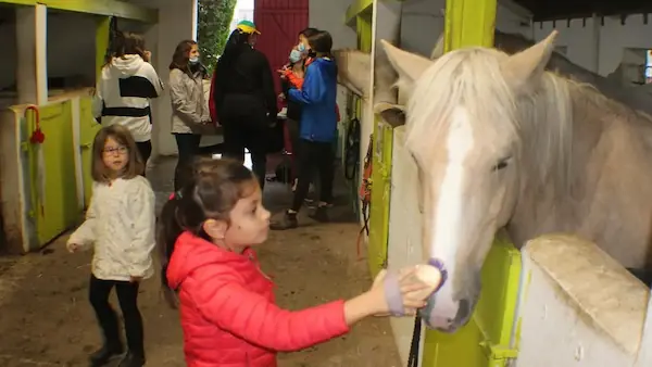 Poney Club : photo 3