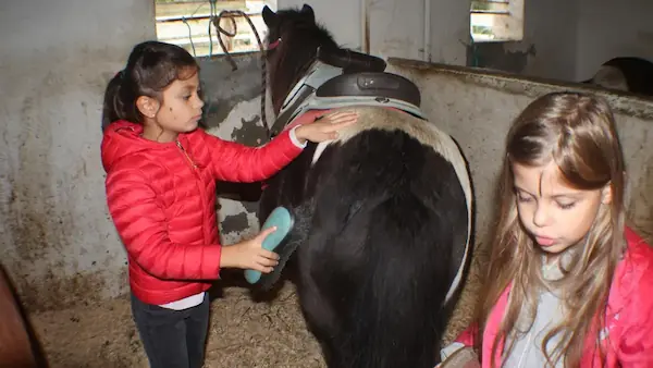 Poney Club : photo 4