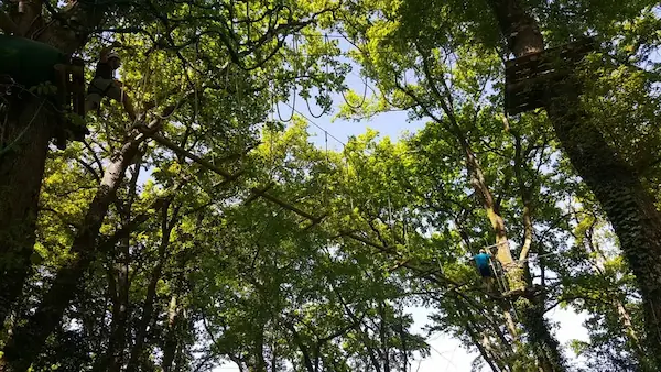 La Forêt des Vert'tiges.