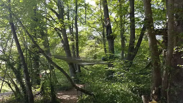 La Forêt des Vert'tiges : photo 2