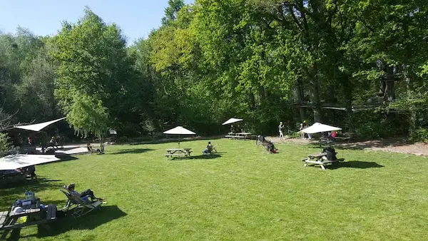 La Forêt des Vert'tiges : photo 4