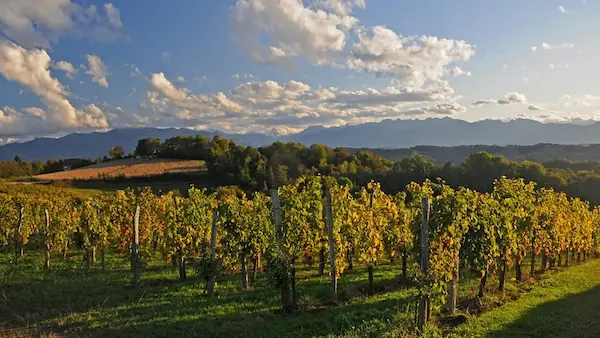 Vignobles de Jurançon : photo 2
