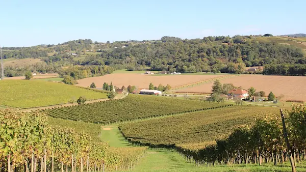 Vignobles de Jurançon : photo 3