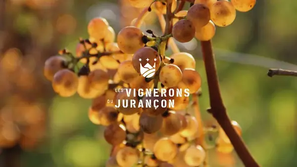 Vignobles de Jurançon : photo 4