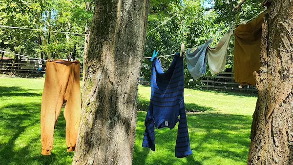 Emplacement : linge.